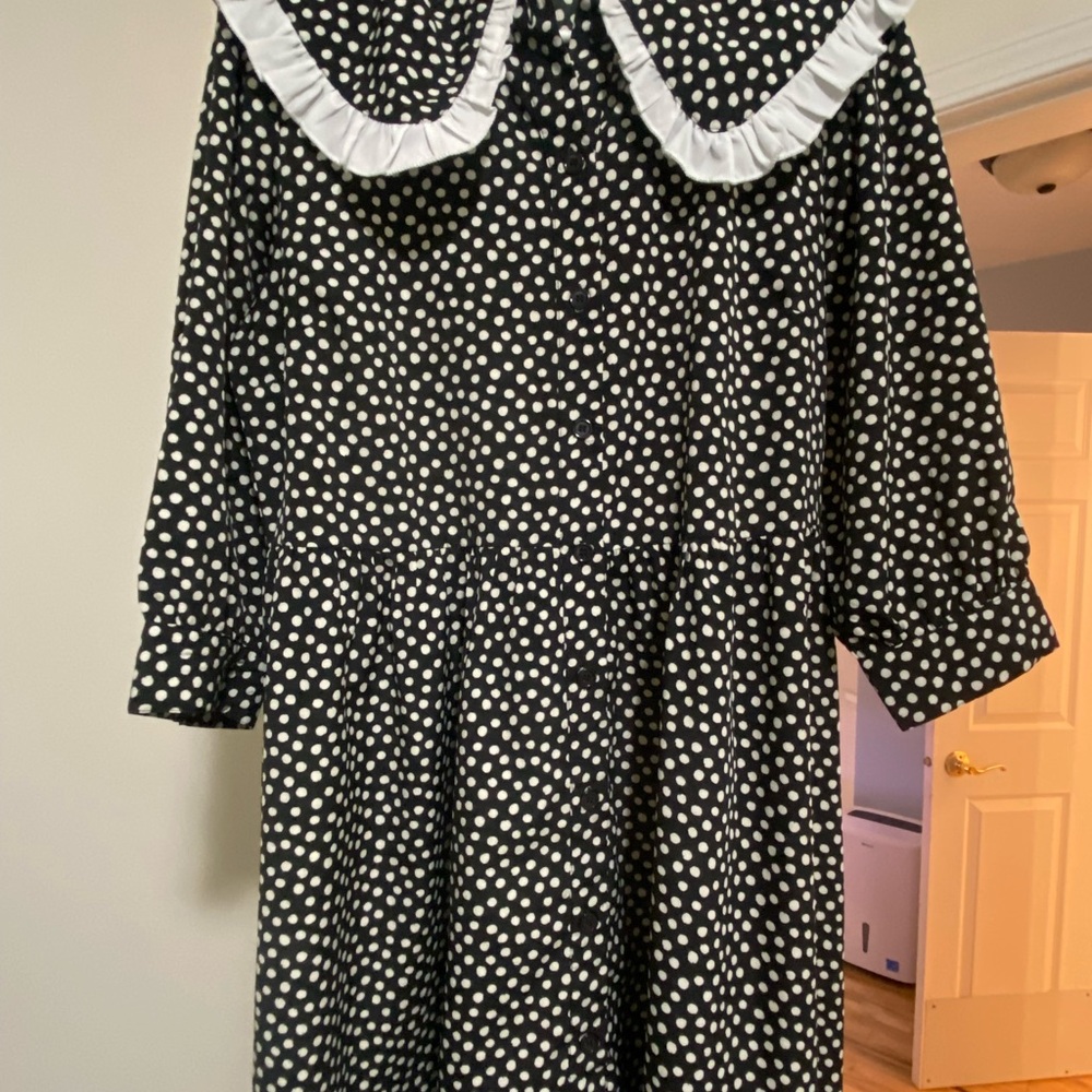 New Look polka dot collared dress